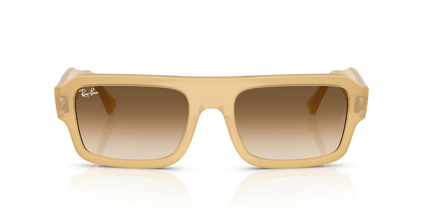 Ray-Ban RB4454F Flacko Sunglasses