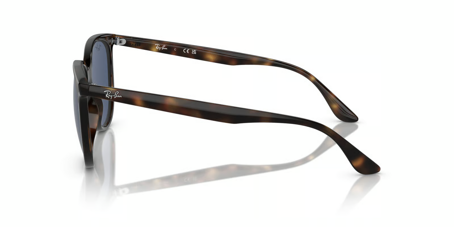 Ray-Ban RB4378 Sunglasses