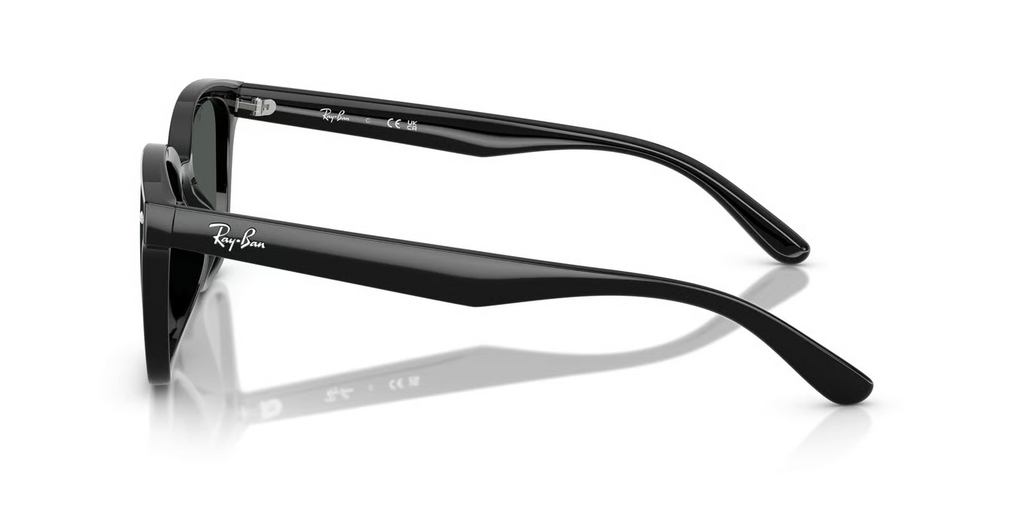 Ray-Ban RB4461D Sunglasses