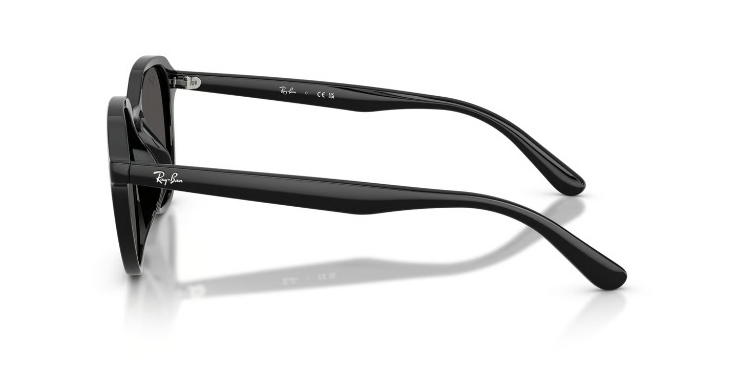 Ray-Ban RB4459D Sunglasses