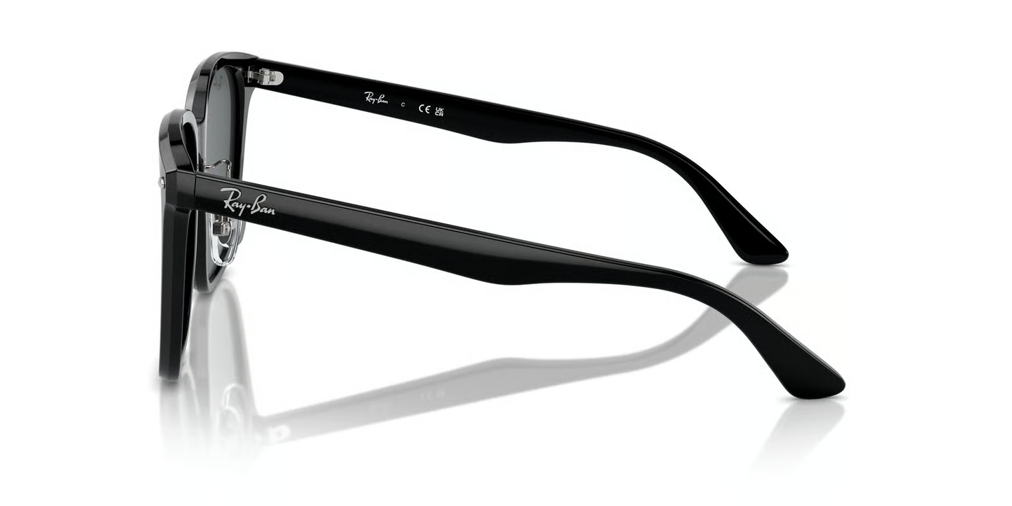 Ray-Ban RB2206D Sunglasses