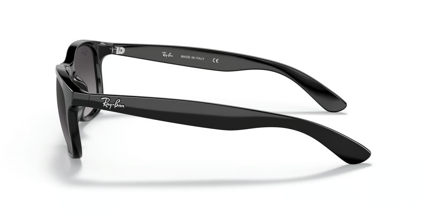 Ray-Ban RB4202 Andy Sunglasses