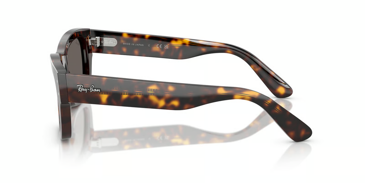 Ray-Ban RB7683S Joseph Sunglasses