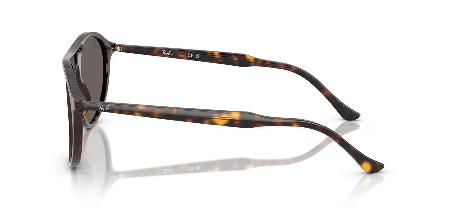 Ray-Ban RB2215F Sunglasses