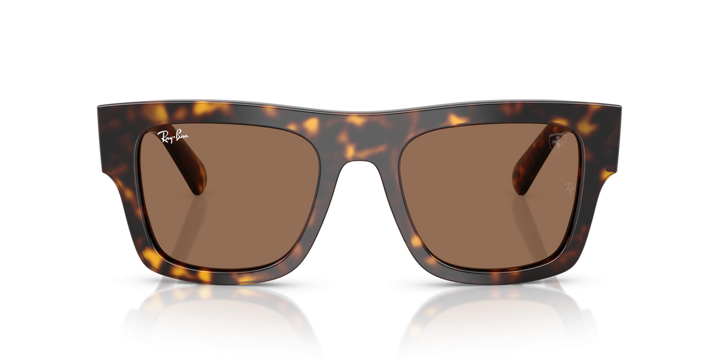 Ray-Ban RB2217M Sunglasses