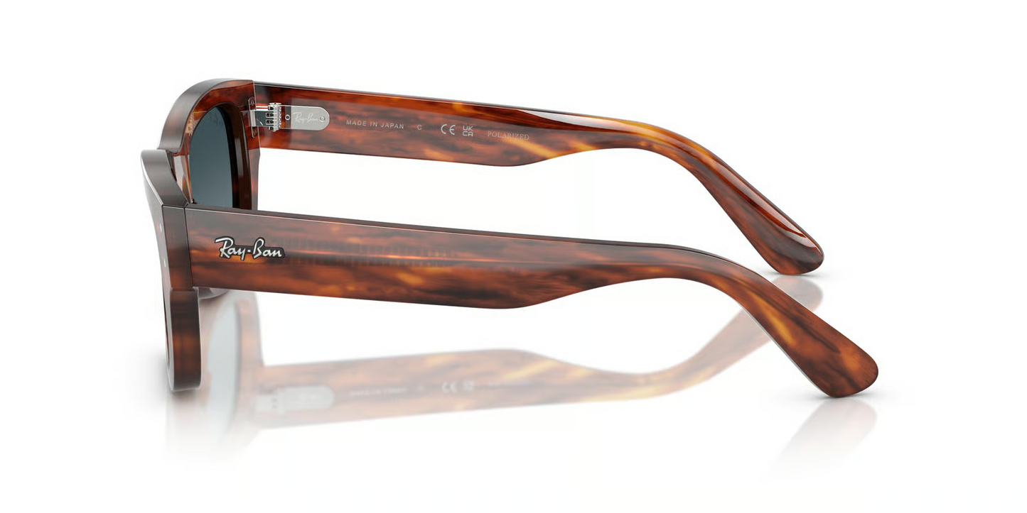 Ray-Ban RB7683S Joseph Sunglasses