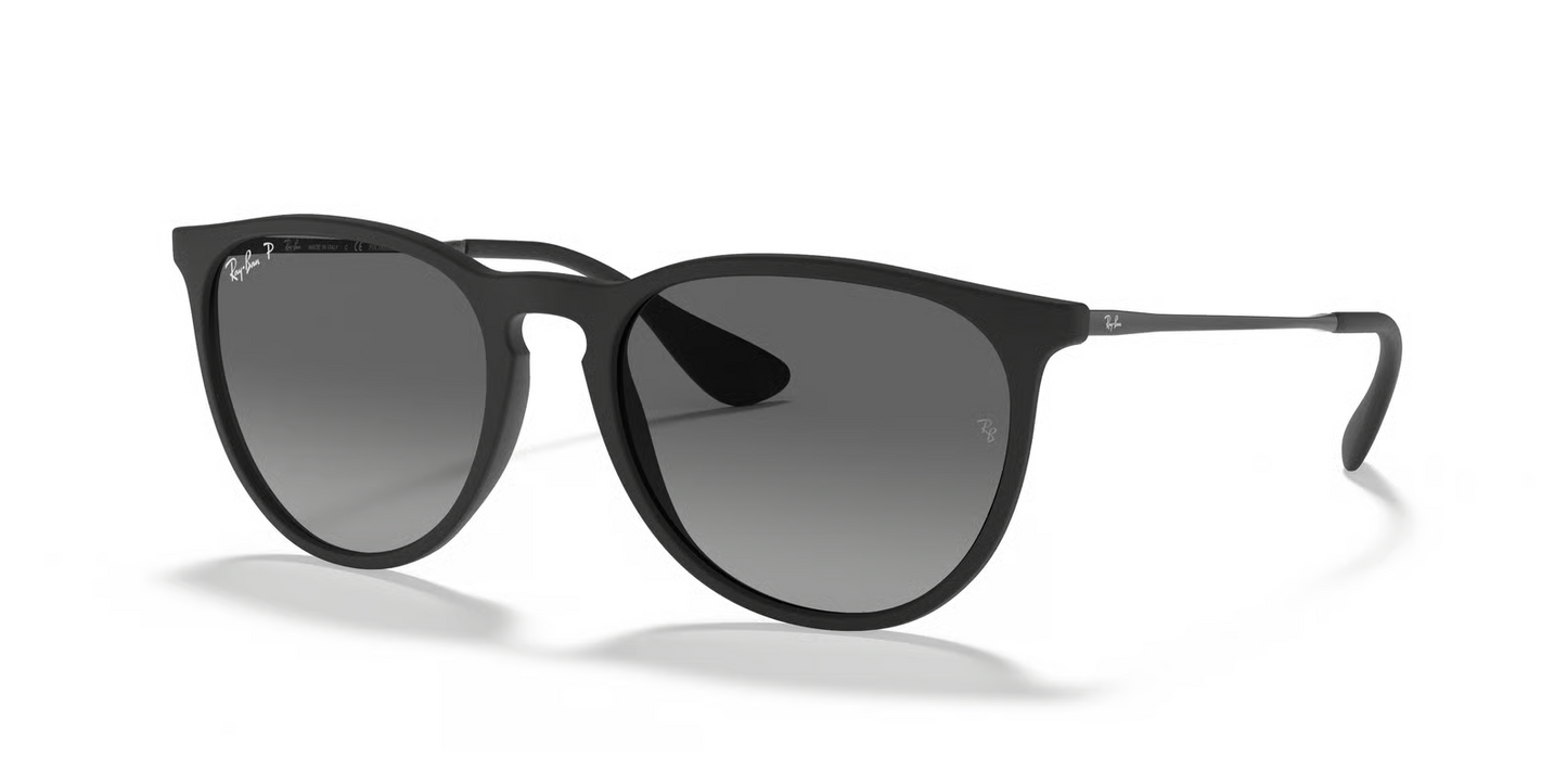 Ray-Ban RB4171 Erika Sunglasses