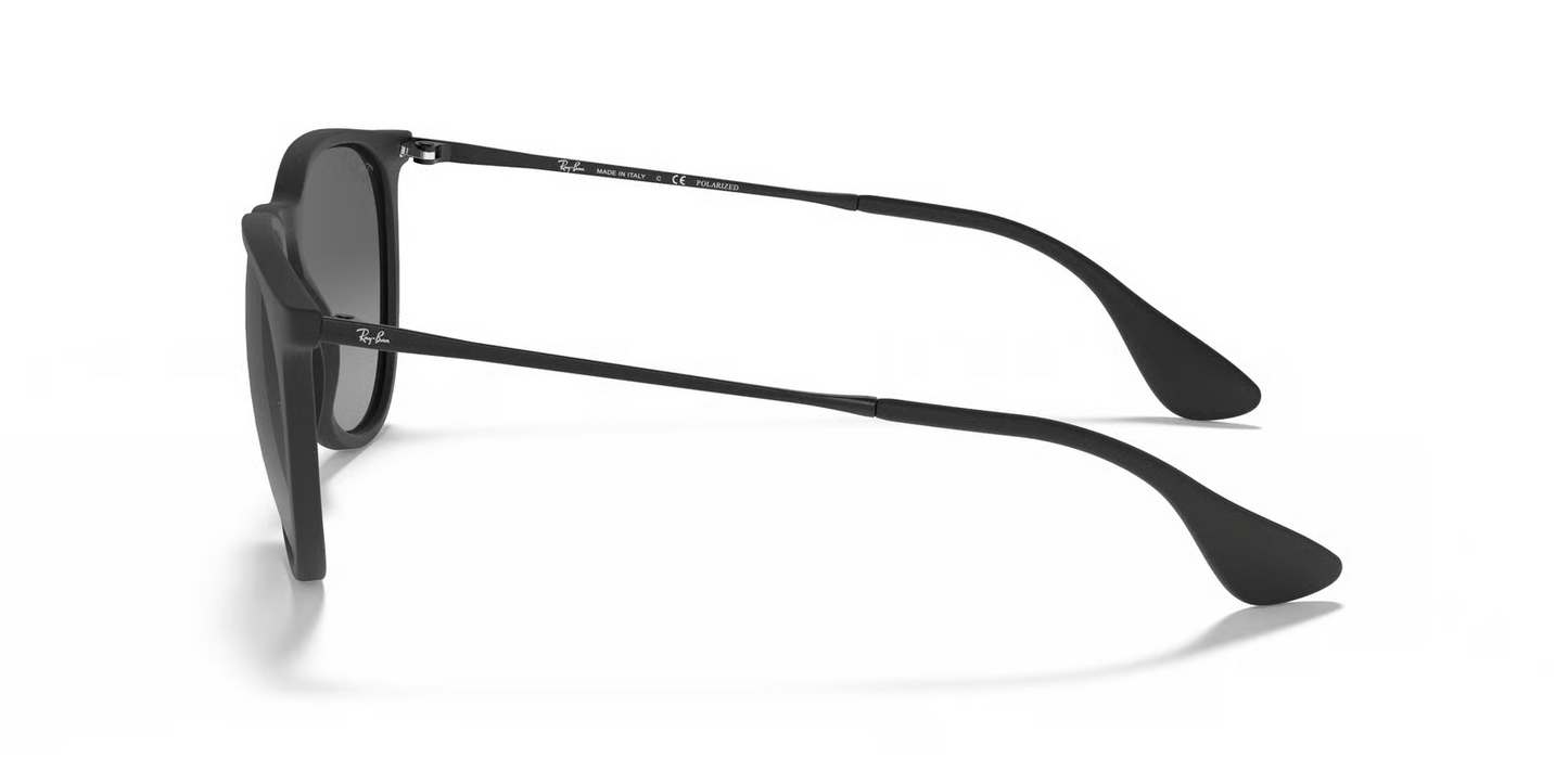 Ray-Ban RB4171 Erika Sunglasses