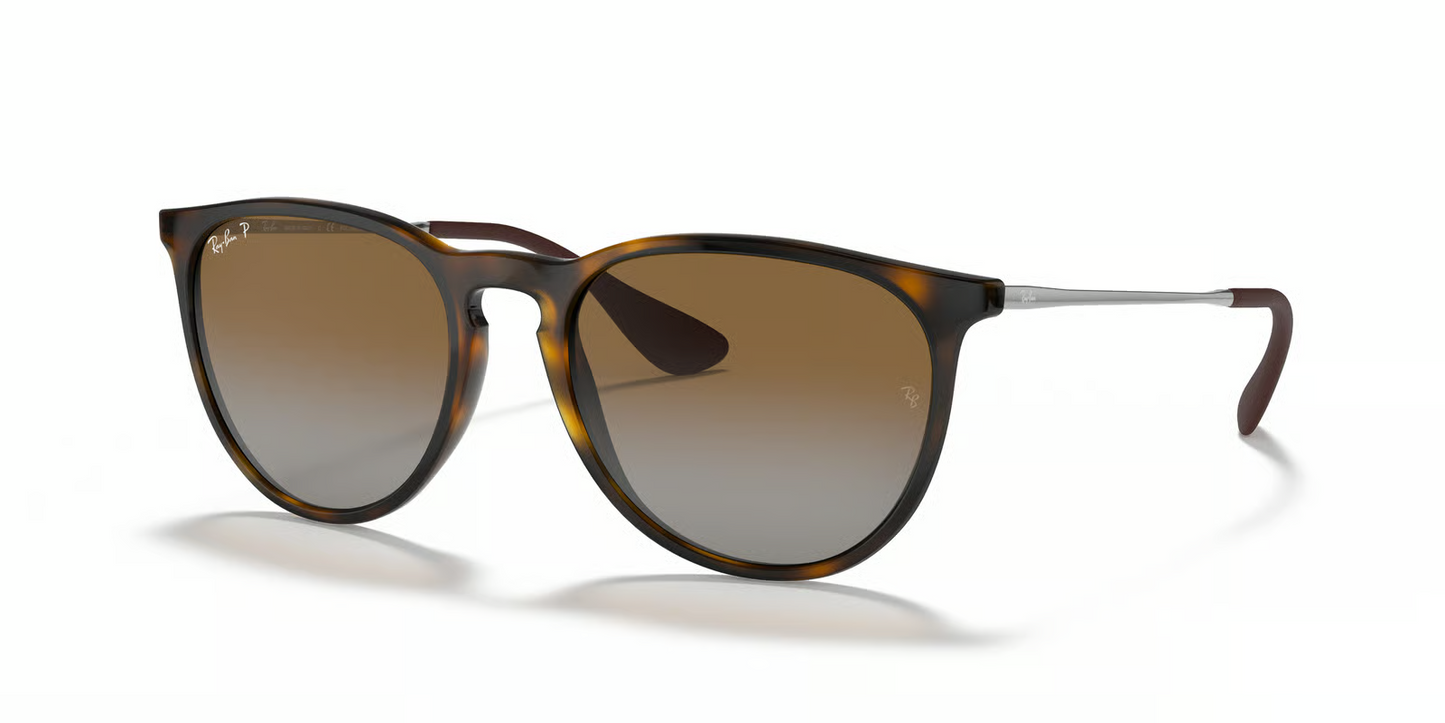 Ray-Ban RB4171 Erika Sunglasses