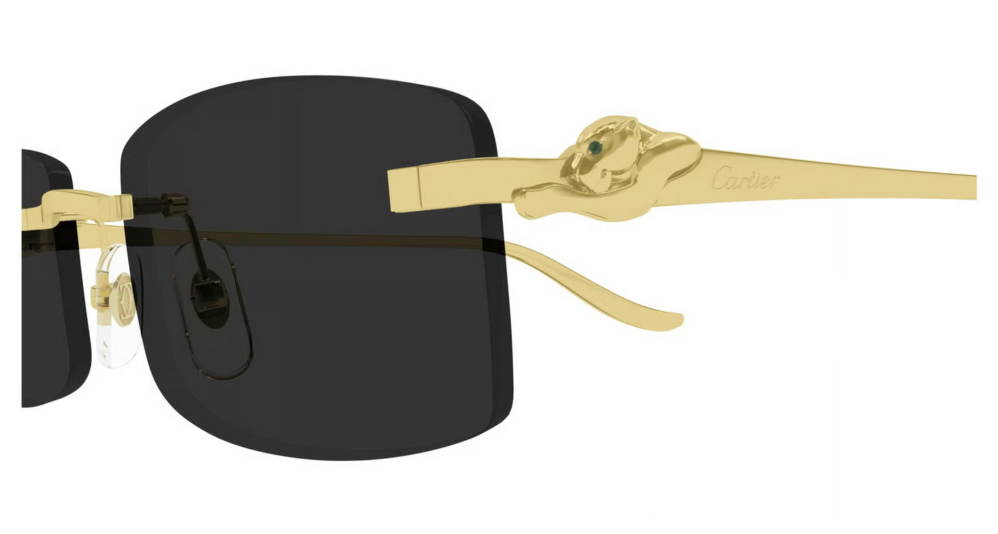 Cartier CT0552S Sunglasses