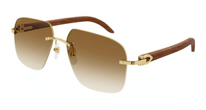 001 - Gold With Brown Lenses