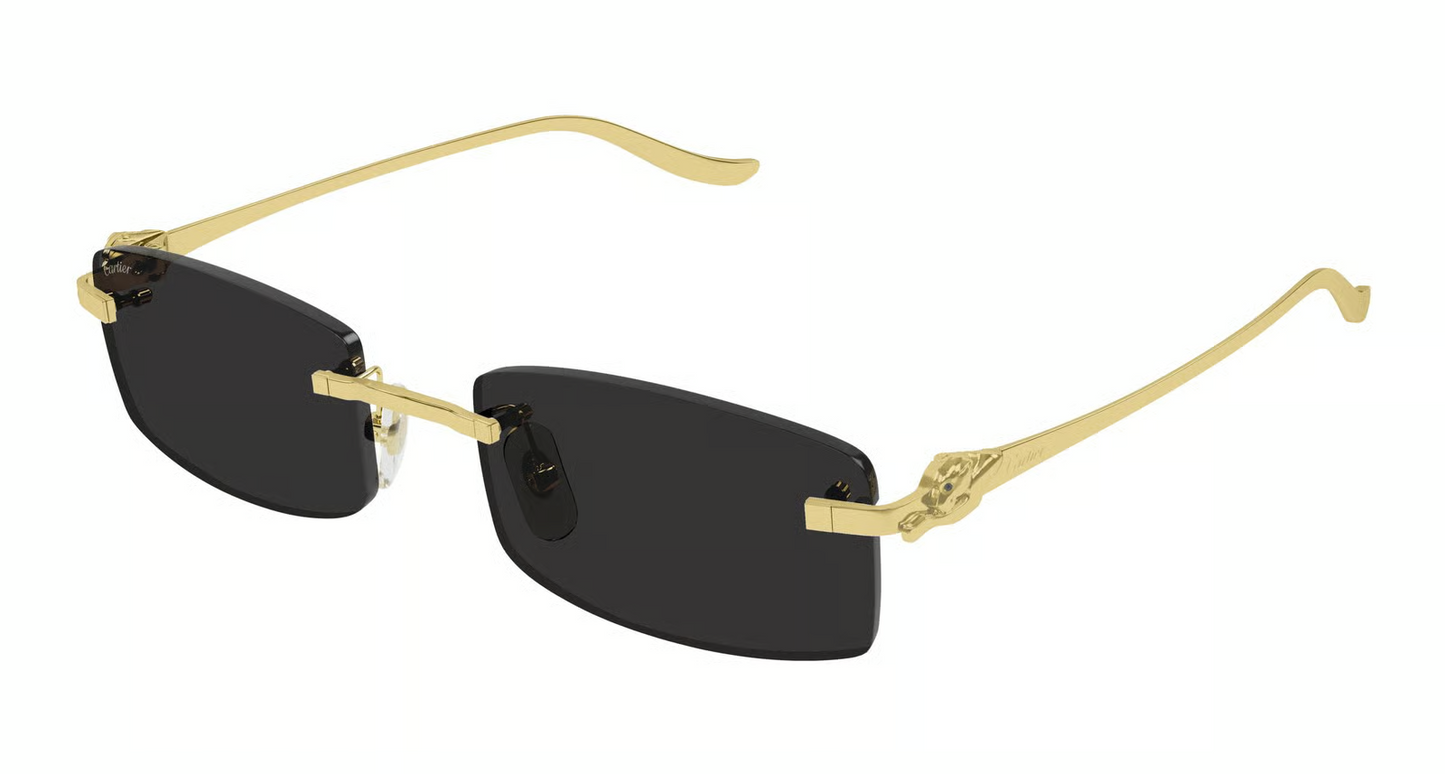 Cartier CT0552S Sunglasses