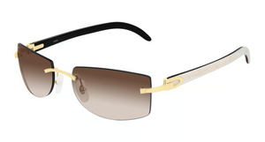 001 - Gold With Brown Lenses