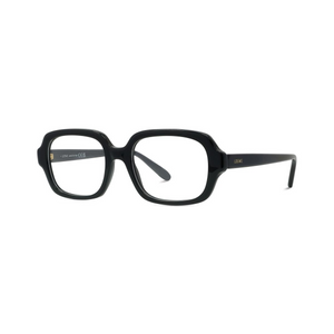 001 - Shiny Black with Clear Lenses