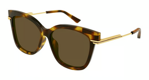 002 - Havana with Brown Lenses