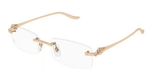 003 - Copper with Clear Lenses