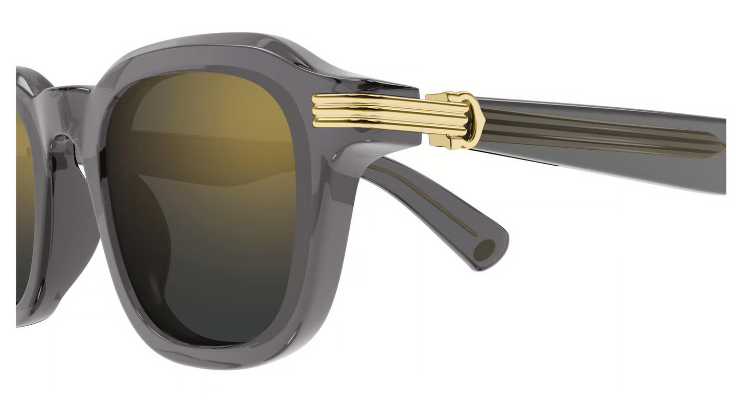 Cartier CT0536S Sunglasses