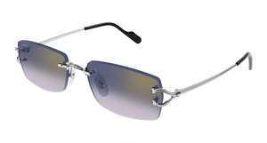 003 - Silver With Blue Lenses