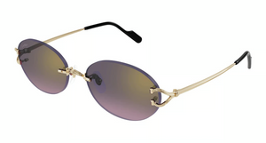 004 - Gold With Grey Lenses