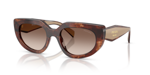 00K10S - Caramel Tortoise with Brown Gradient Lenses