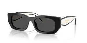 09Q08Z - Black with Dark Grey Lenses