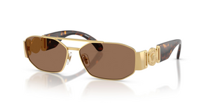 100273 - Gold with Dark Brown Lenses