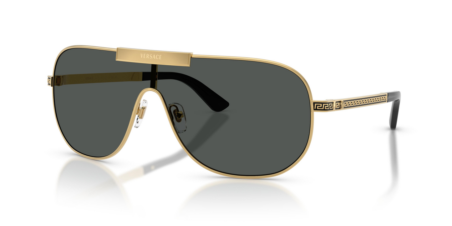 Versace VE2293 Sunglasses