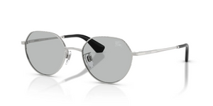 100587 - Silver with Light Grey Lenses