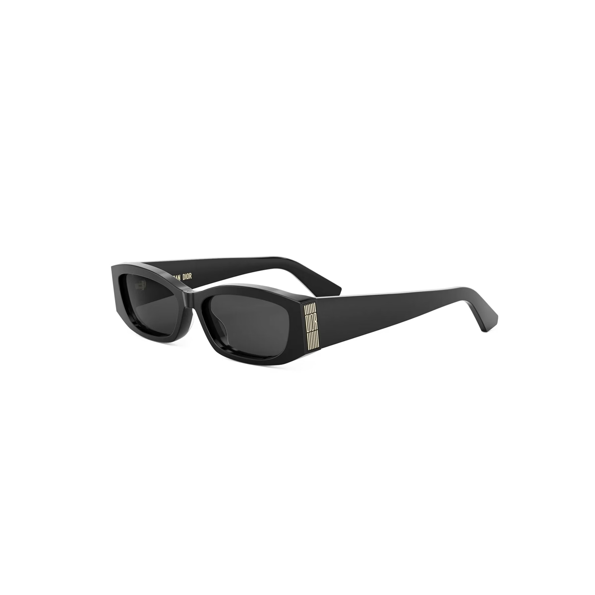 Dior DiorGraphique S1I CD40220I Sunglasses