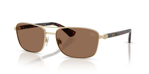 110973 - Light Gold with Dark Brown Lenses