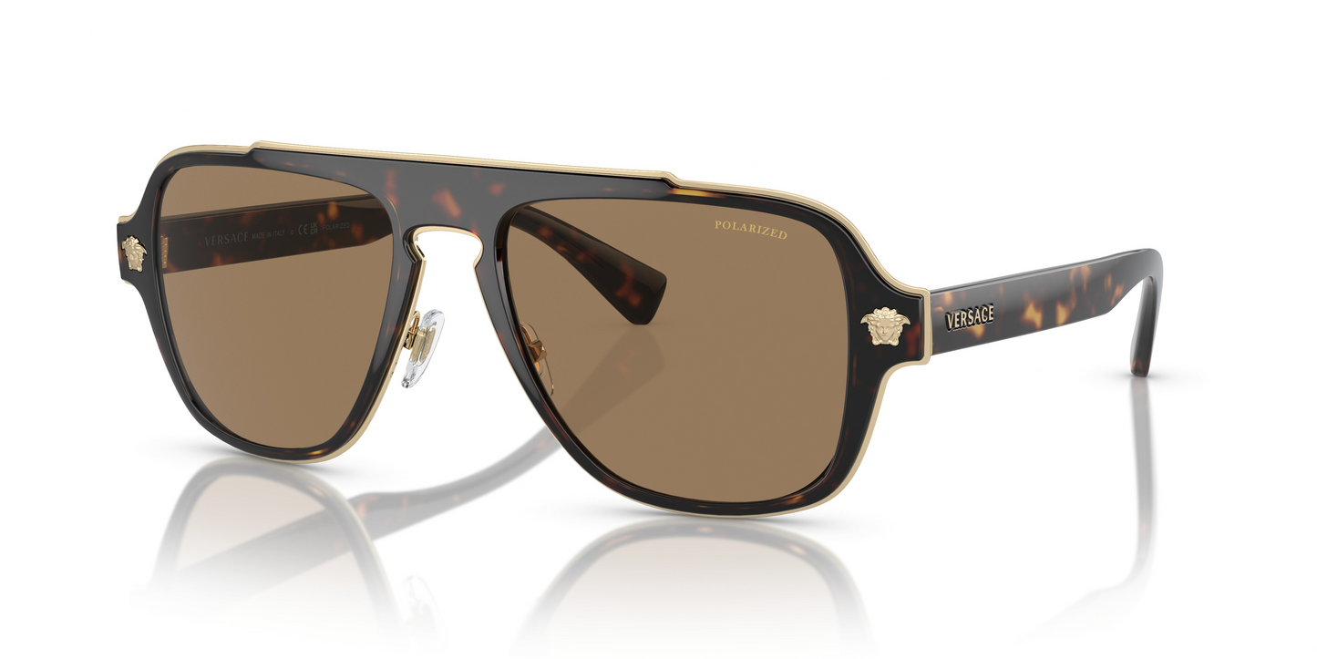 Versace VE2199  Sunglasses