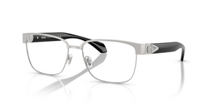 1266 - Silver Brushed with Clear Lenses