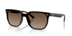 714/13 - Transparent Dark Brown with Brown Gradient Lenses