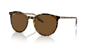 139357 - Havana On Transparent with Polarized Brown Lenses
