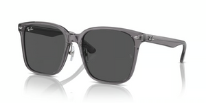 139987 - Transparent Grey with Dark Grey Lenses