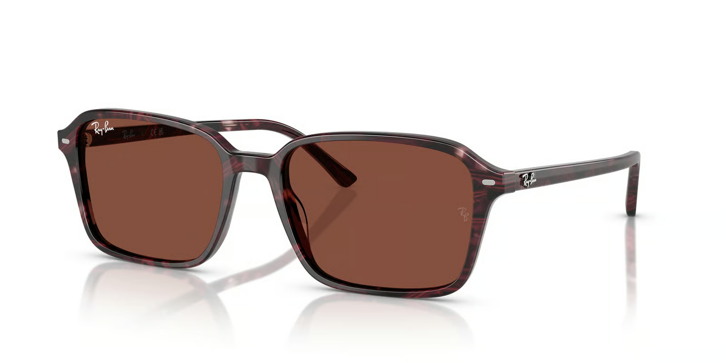 Ray-Ban RB2231 Raimond Sunglasses
