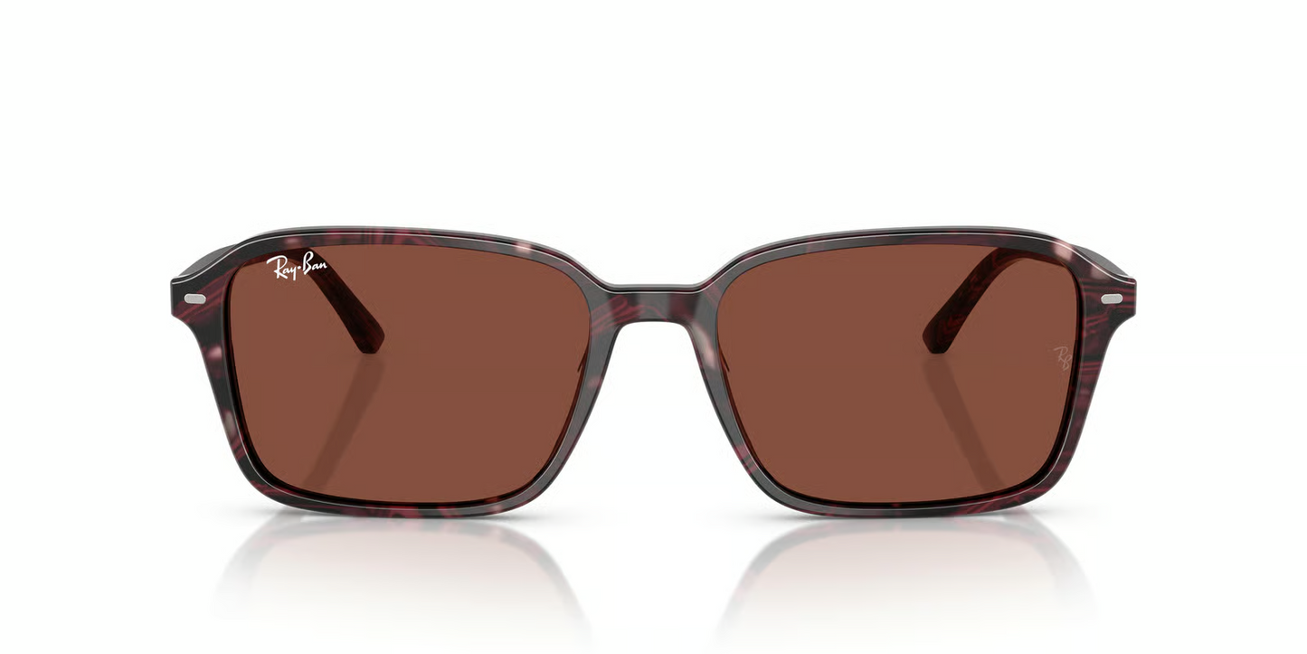 Ray-Ban RB2231 Raimond Sunglasses