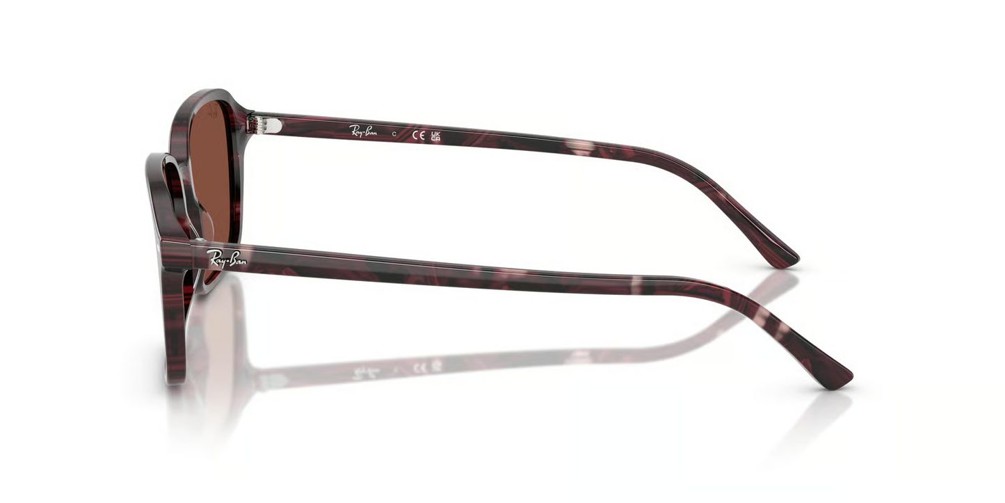 Ray-Ban RB2231 Raimond Sunglasses