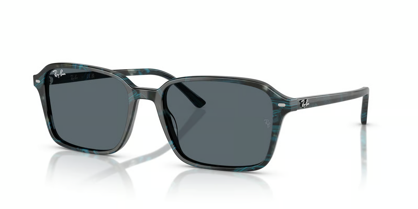 Ray-Ban RB2231 Raimond Sunglasses