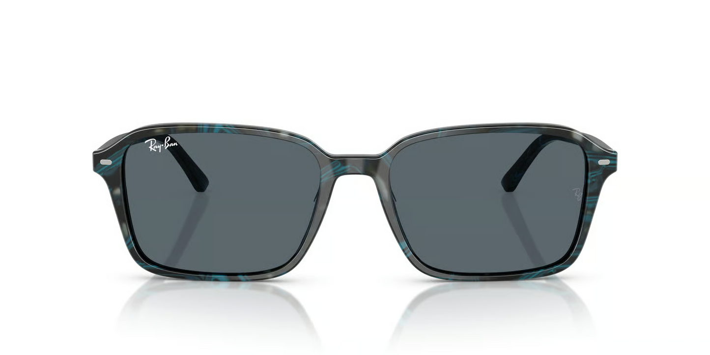 Ray-Ban RB2231 Raimond Sunglasses