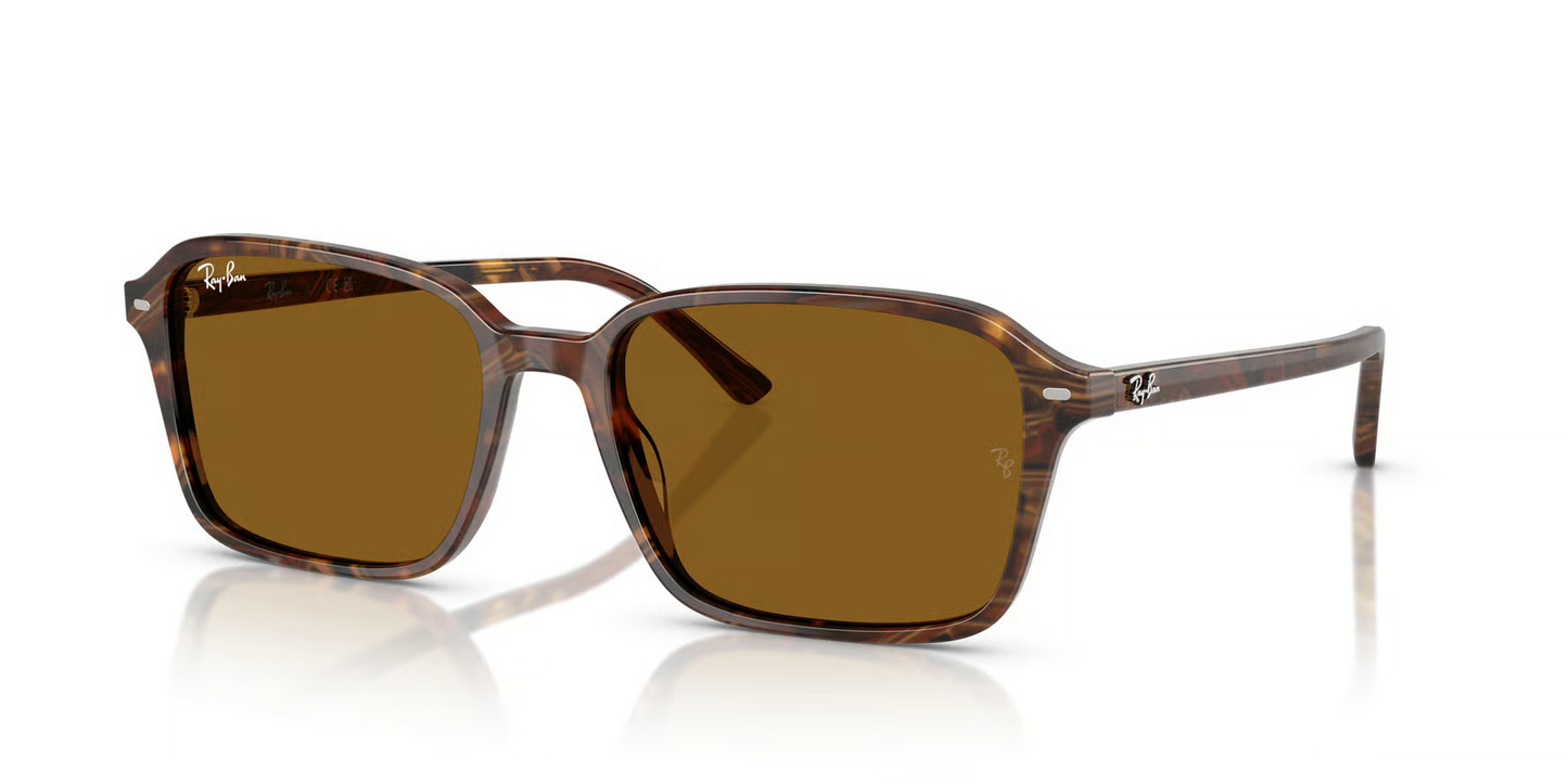 Ray-Ban RB2231 Raimond Sunglasses