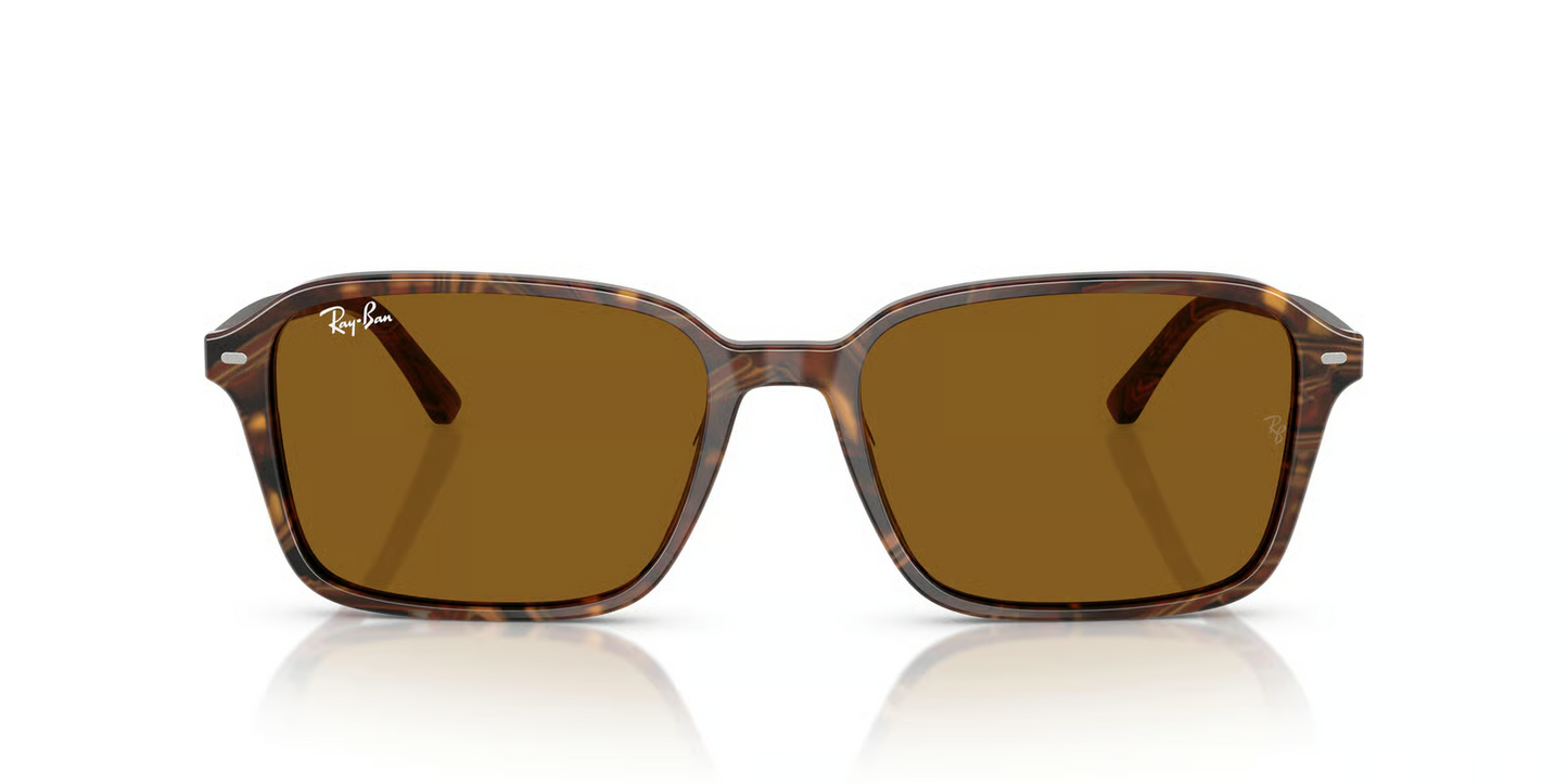 Ray-Ban RB2231 Raimond Sunglasses