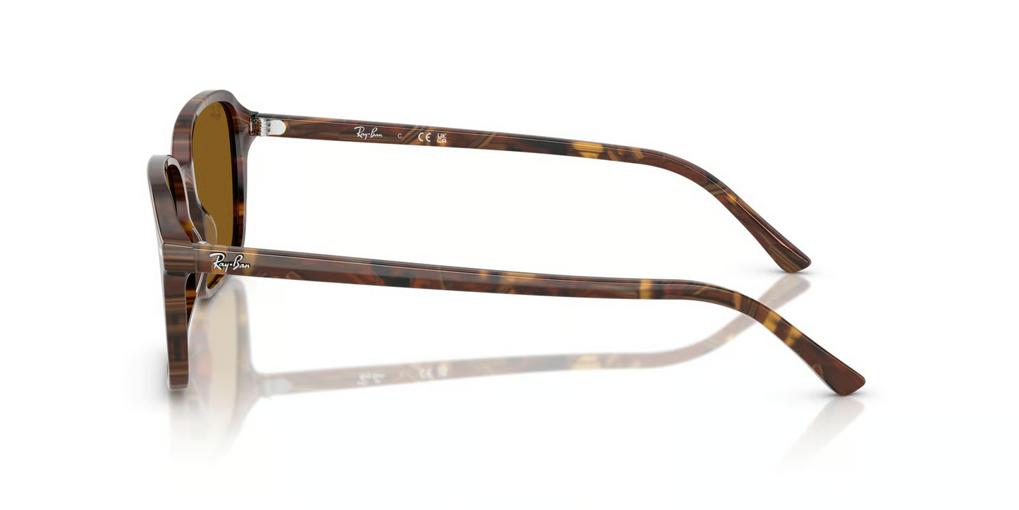 Ray-Ban RB2231 Raimond Sunglasses