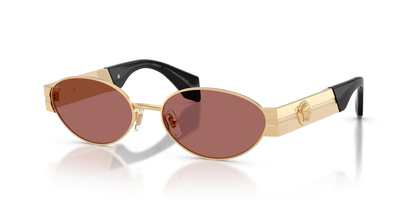 Versace VE2301 Sunglasses