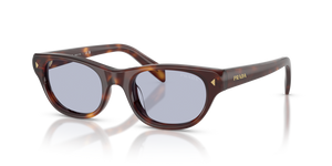 15W30X - Classic Tortoise with Blue Lenses