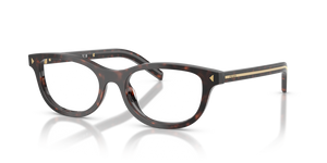 17N1O1 - Root Havana with Clear Lenses