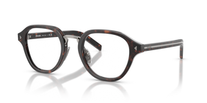 17N1O1 - Root Tortoise with Clear Lenses