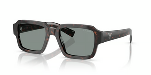 17N20N - Root Tortoise with Blue Lenses