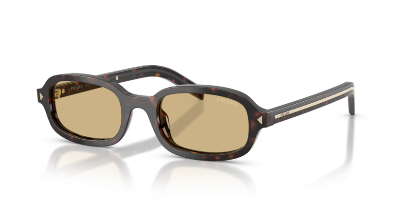 Prada PR D06S Sunglasses