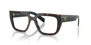 18Z1O1 - Root Tortoise with Clear Lenses